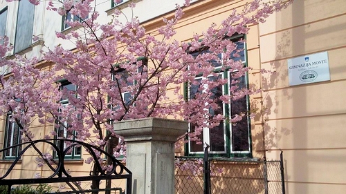 Spring