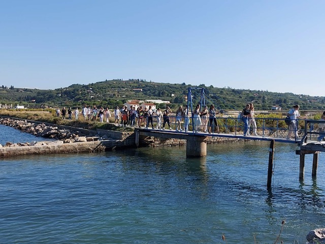 Image 1 8