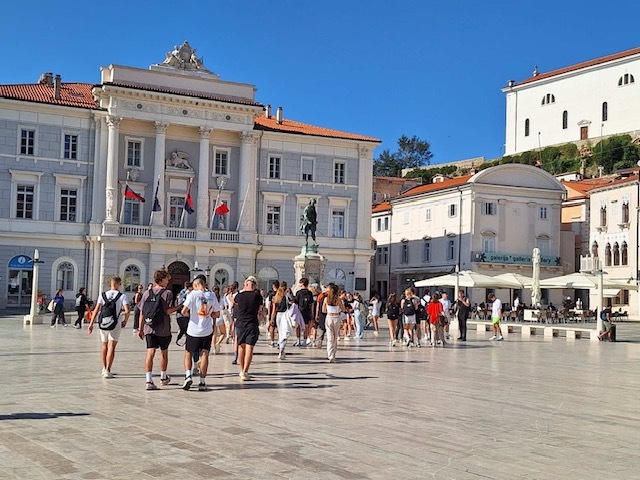 Image 1 9
