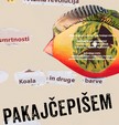 pisem17